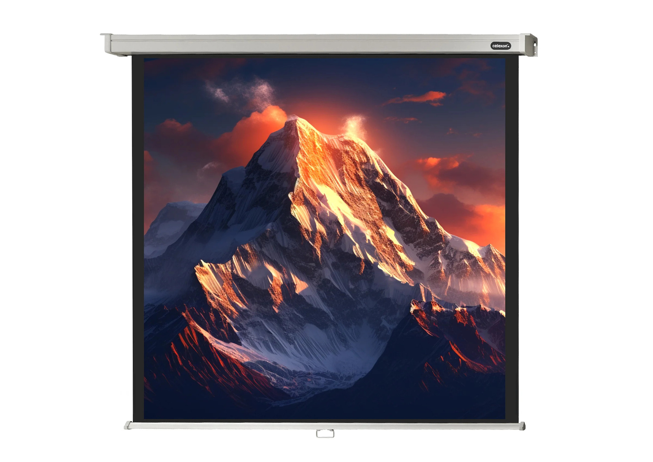 celexon Leinwand Rollo Professional 180 x 180 cm celexon Leinwand Rollo Professional 180 x 180 cm