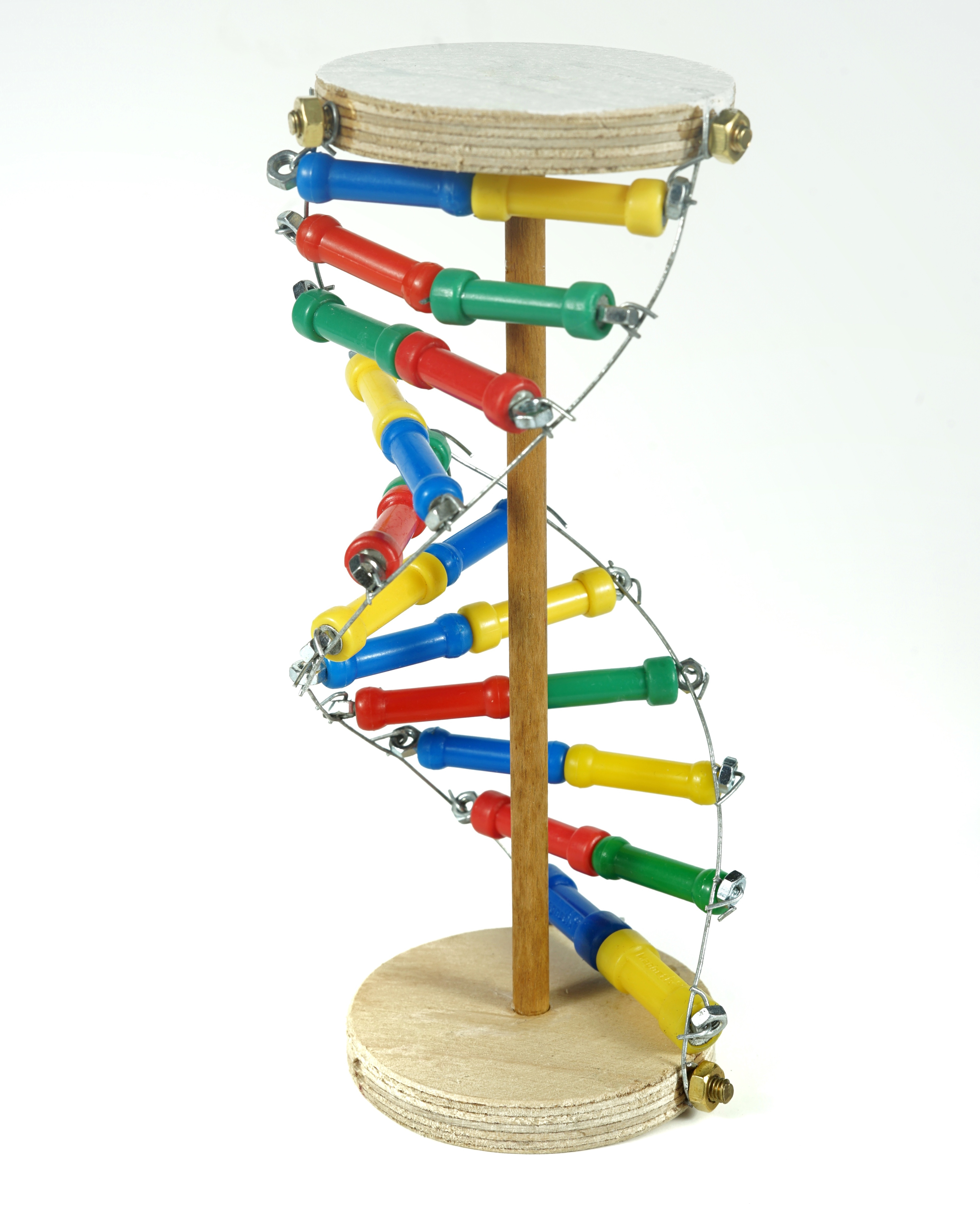 DNA-MODELL  Bastel Set