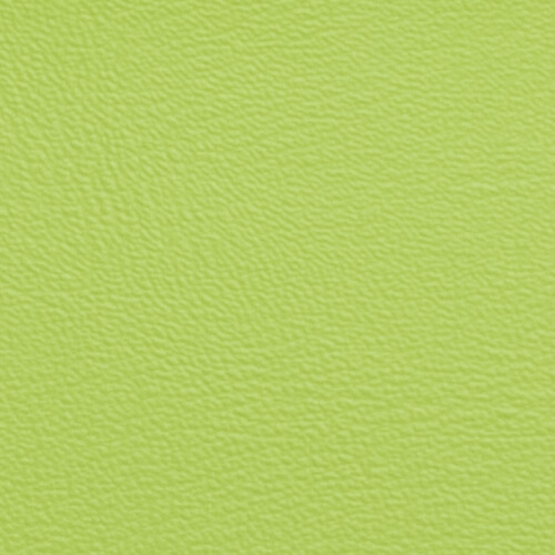 Kunstleder und Polsterung schwer entflammbar - Hellgrün