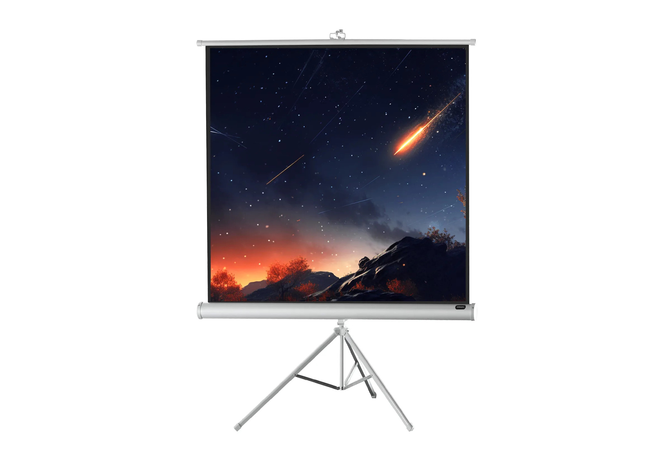 celexon Stativleinwand Economy 184 x 184 cm - White Edition
