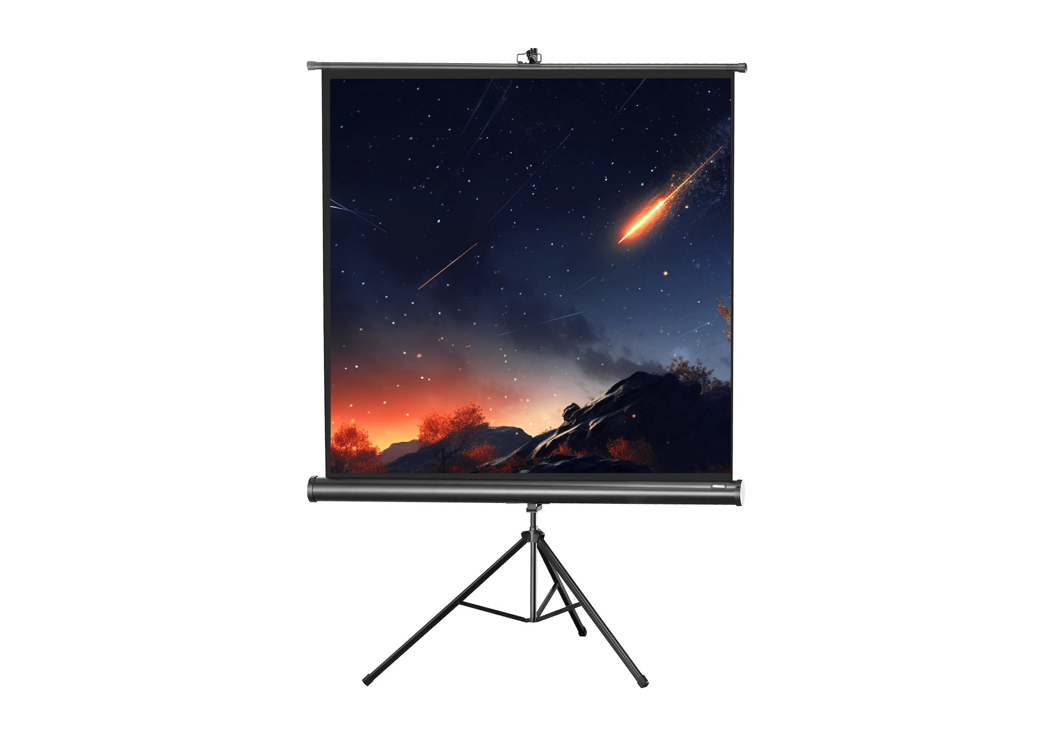 celexon Stativleinwand Economy 133 x 133 cm celexon Stativleinwand Economy 133 x 133 cm