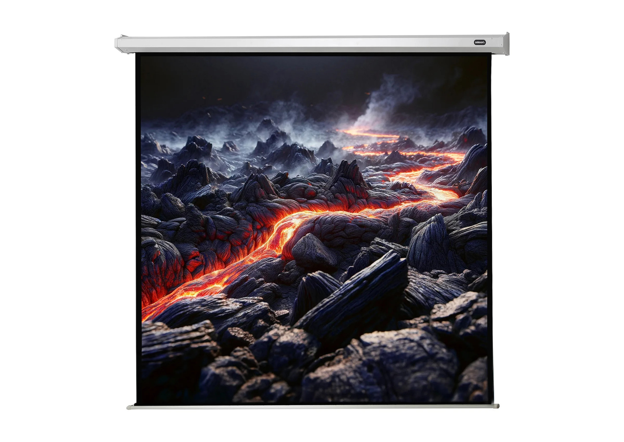 celexon Leinwand Motor Economy 120 x 120 cm