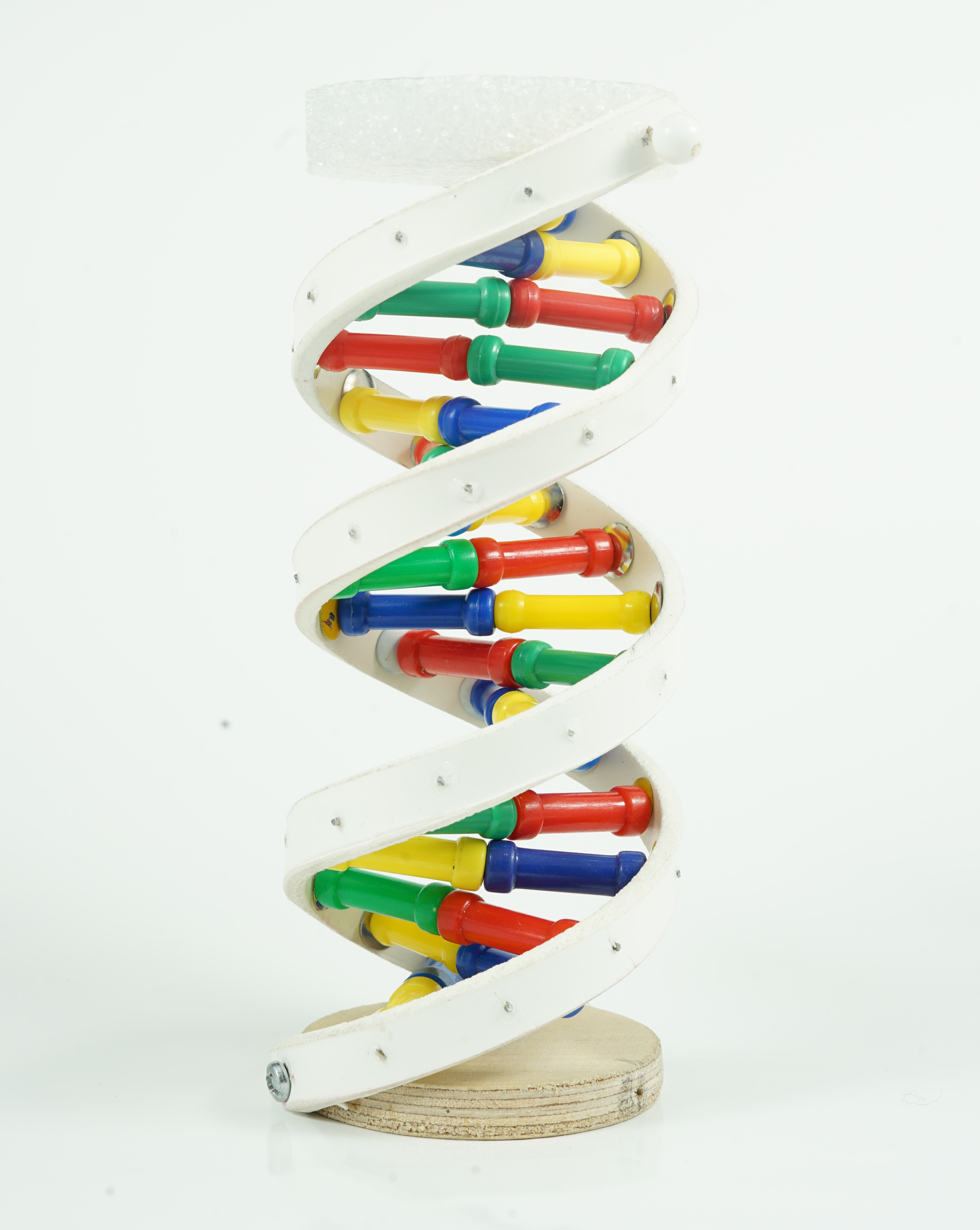 DNA-MODELL  Bastel Set