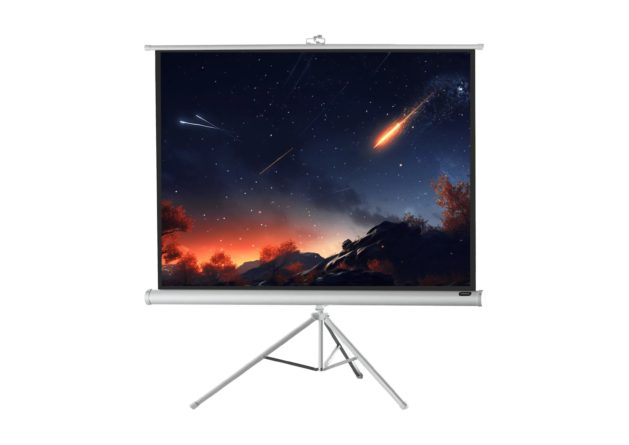 celexon Stativleinwand Economy 133 x 100 cm - White Edition celexon Stativleinwand Economy 133 x 100 cm - White Edition