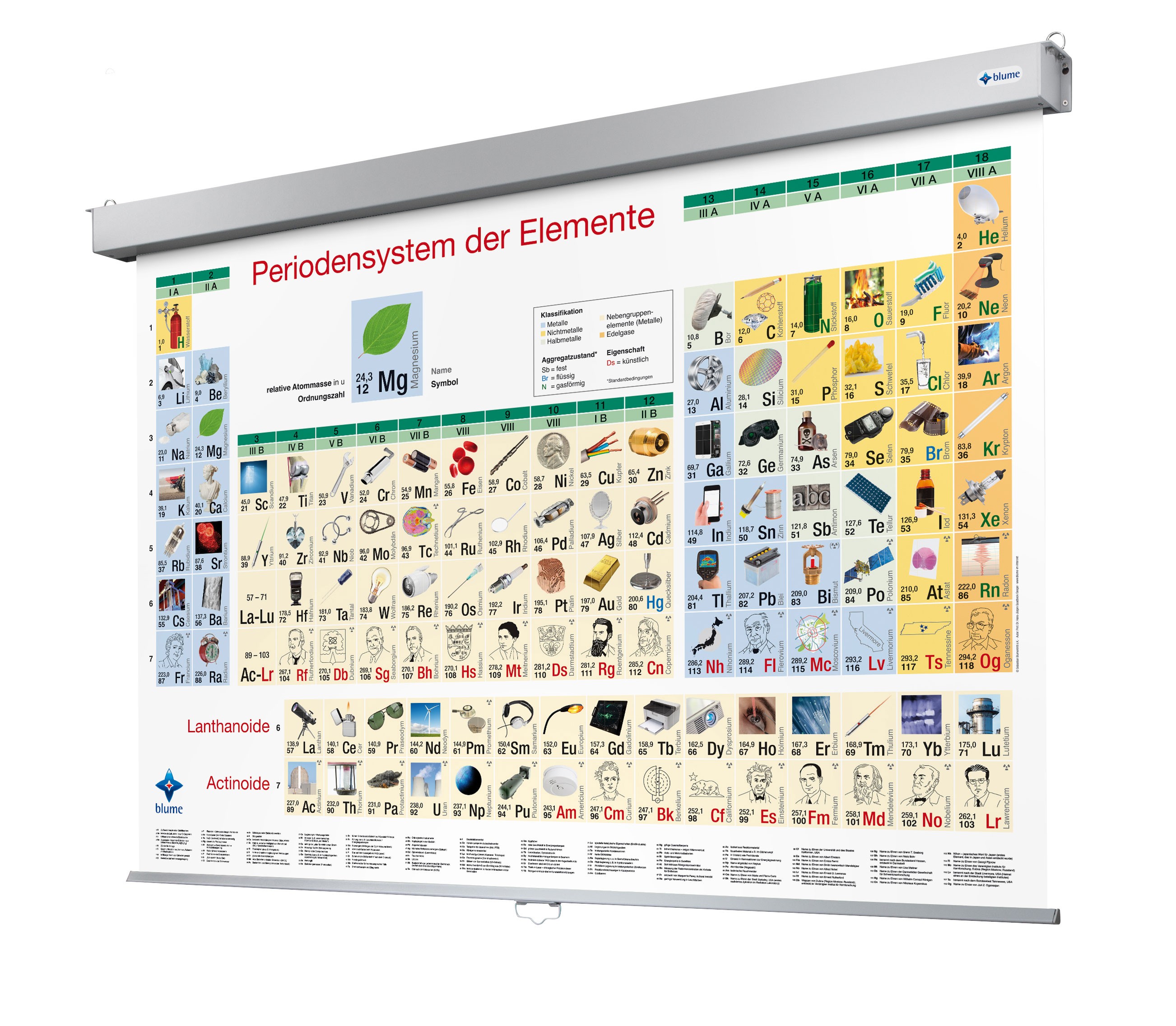 Bilder-PSE RollUp Bilder-PSE RollUp