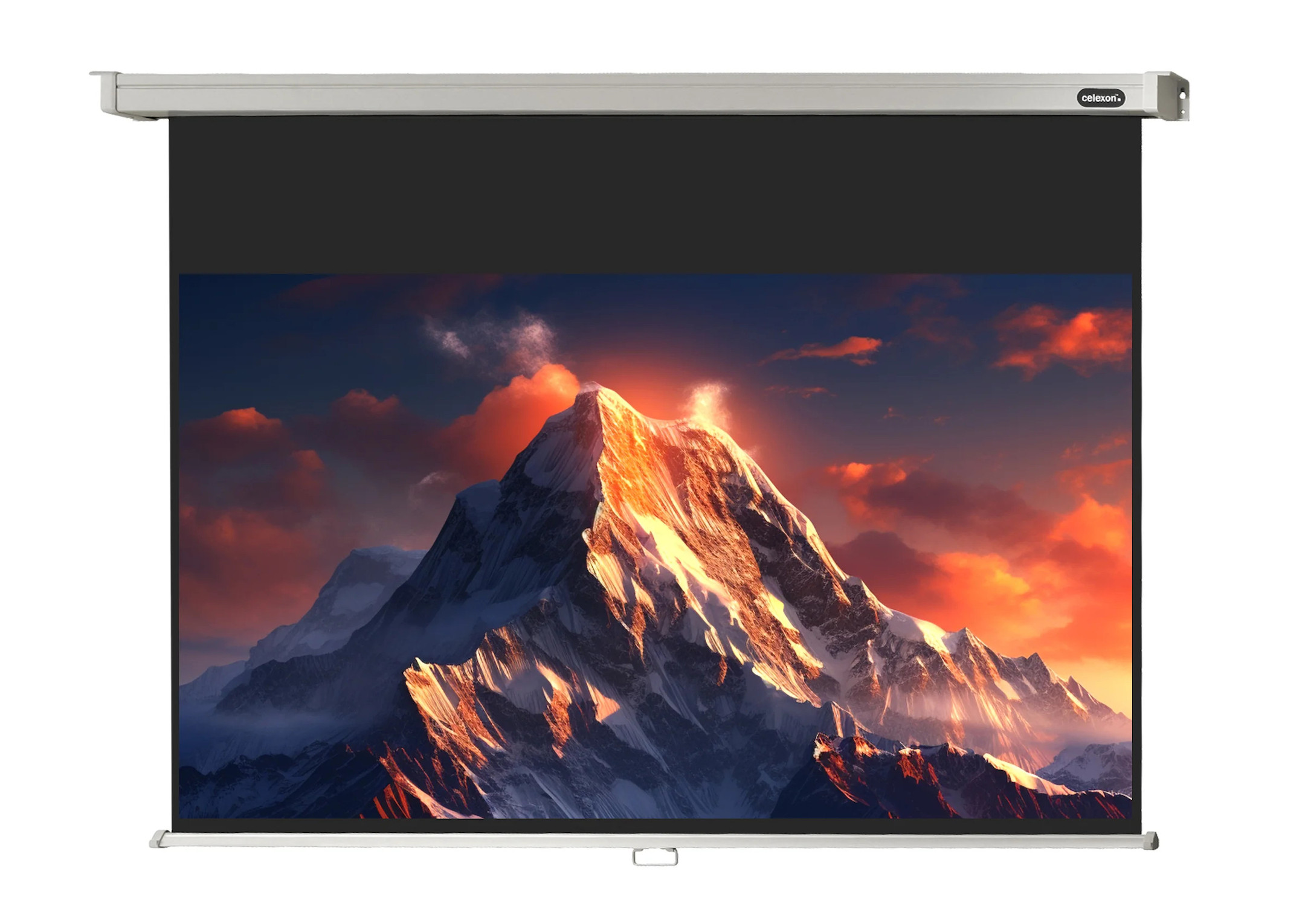 celexon Leinwand Rollo Professional 180 x 102 cm celexon Leinwand Rollo Professional 180 x 102 cm