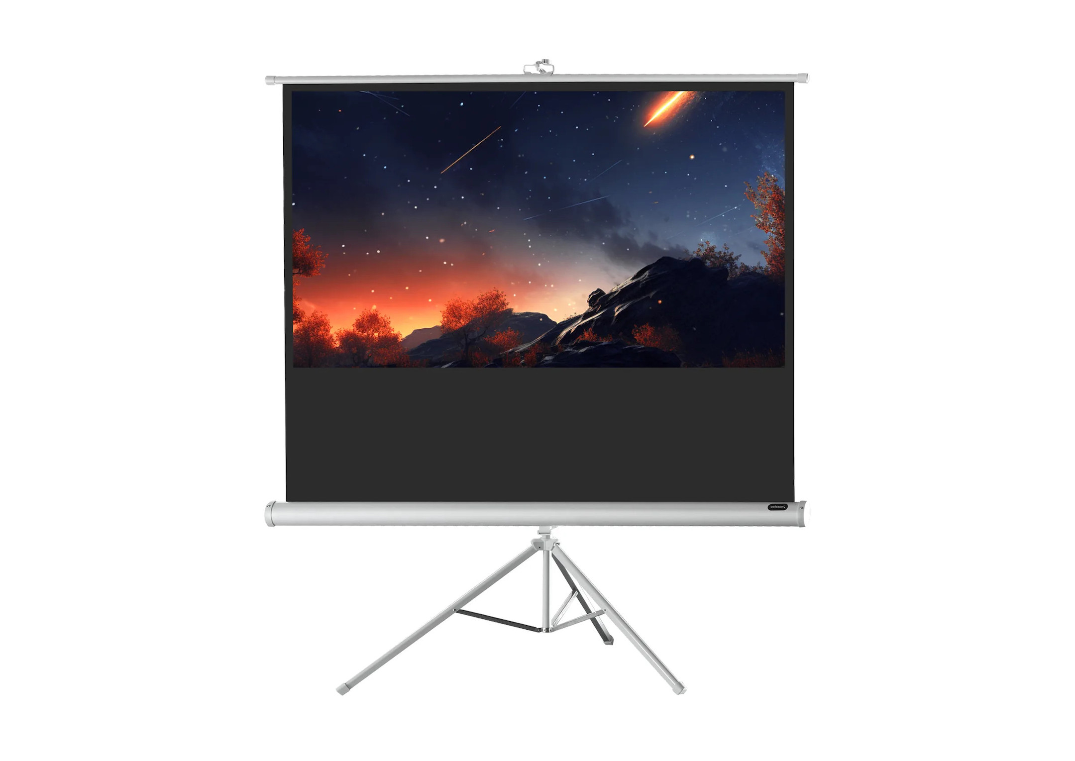 celexon Stativleinwand Economy 133 x 75 cm - White Edition celexon Stativleinwand Economy 133 x 75 cm - White Edition