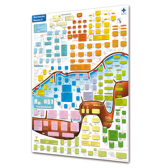 Biochemie Basics II - Poster DINA1 Biochemie Basics II - Poster DINA1
