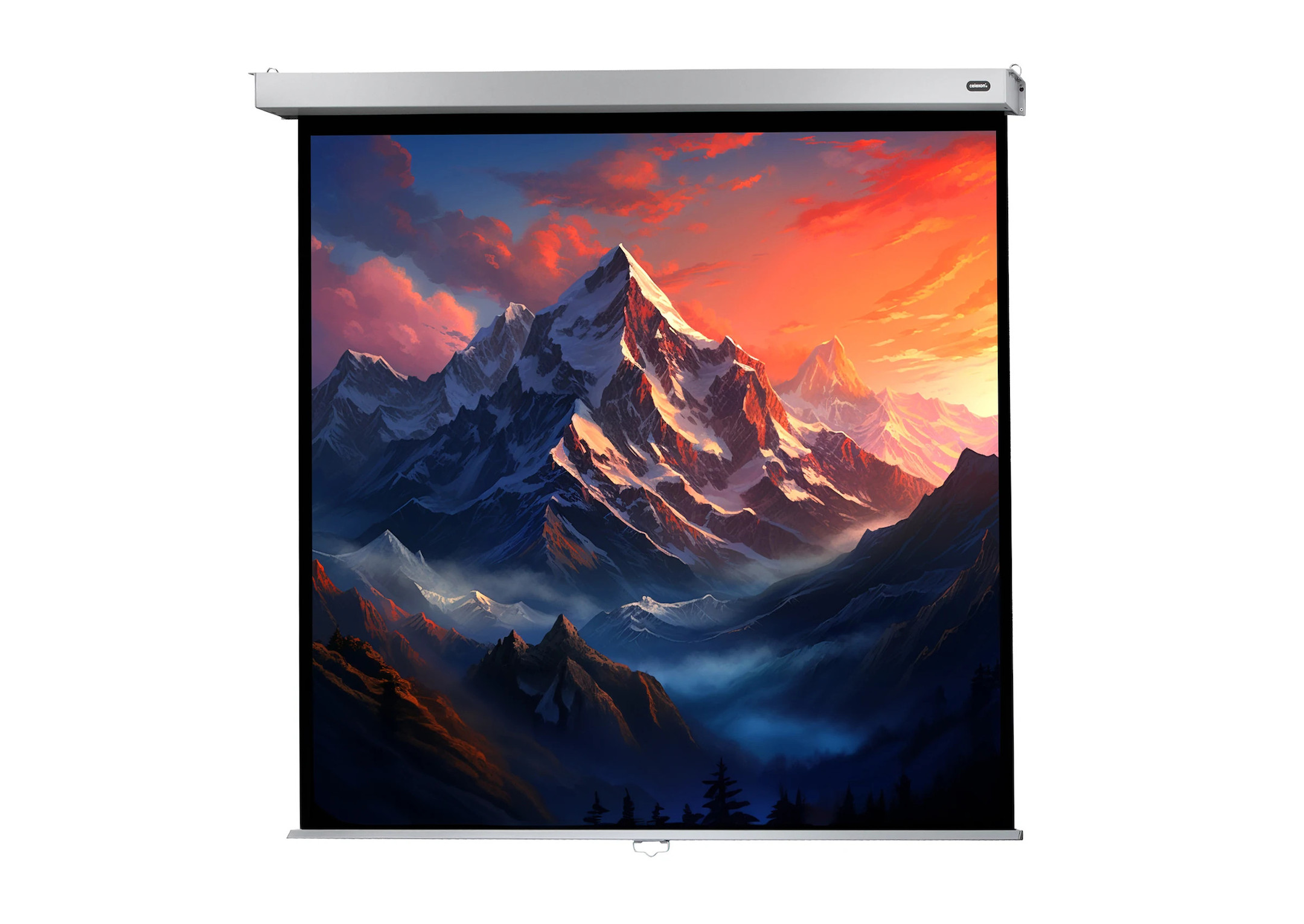 celexon Leinwand Rollo Professional Plus 160 x 160 cm celexon Leinwand Rollo Professional Plus 160 x 160 cm