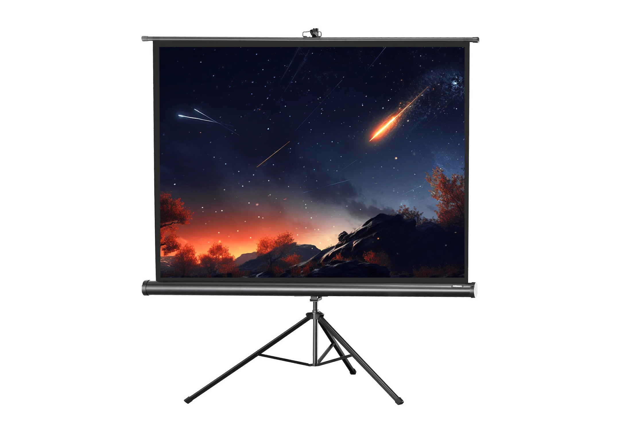 celexon Stativleinwand Economy 158 x 118 cm celexon Stativleinwand Economy 158 x 118 cm