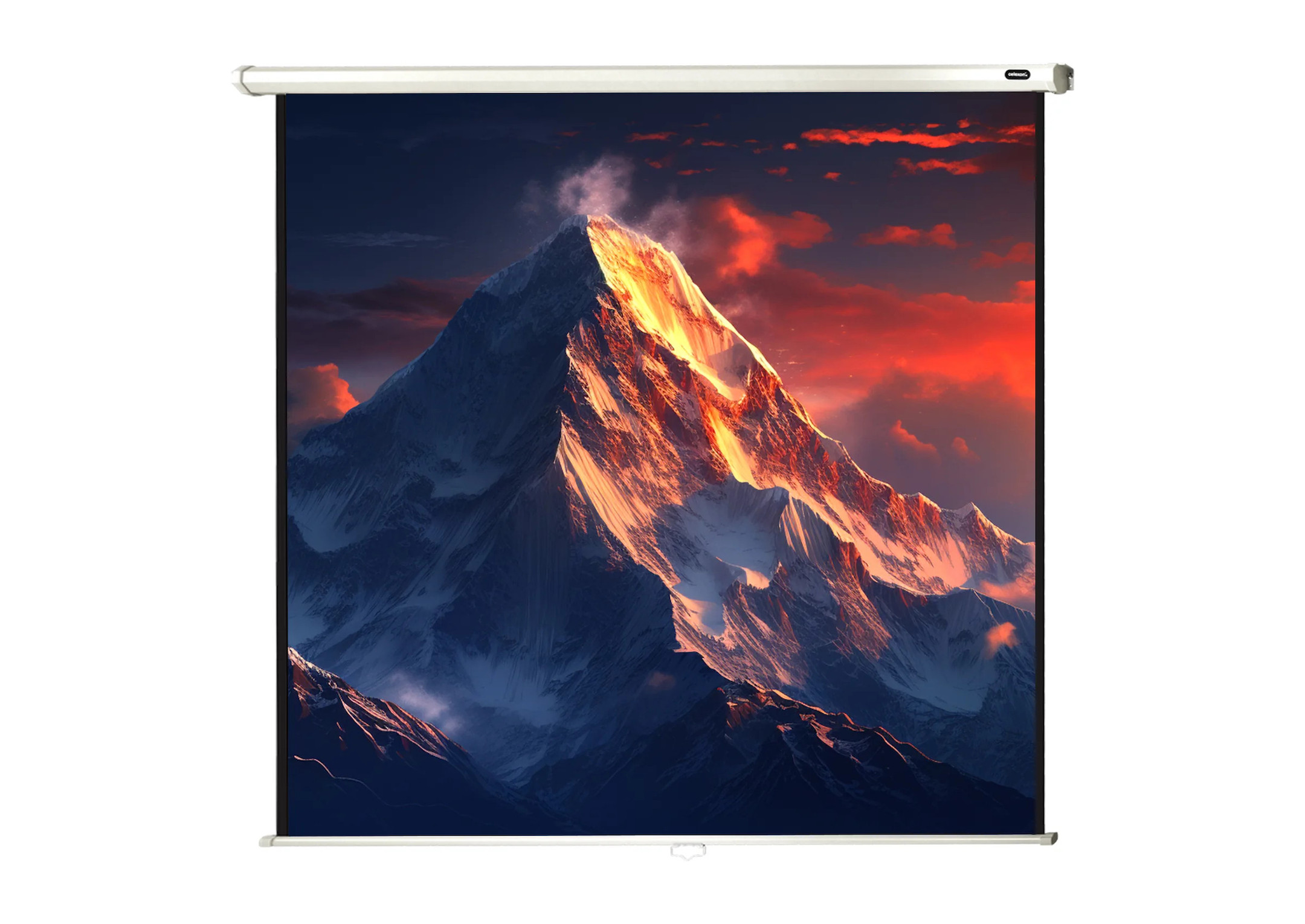 celexon Leinwand Rollo Economy 200 x 200 cm celexon Leinwand Rollo Economy 200 x 200 cm