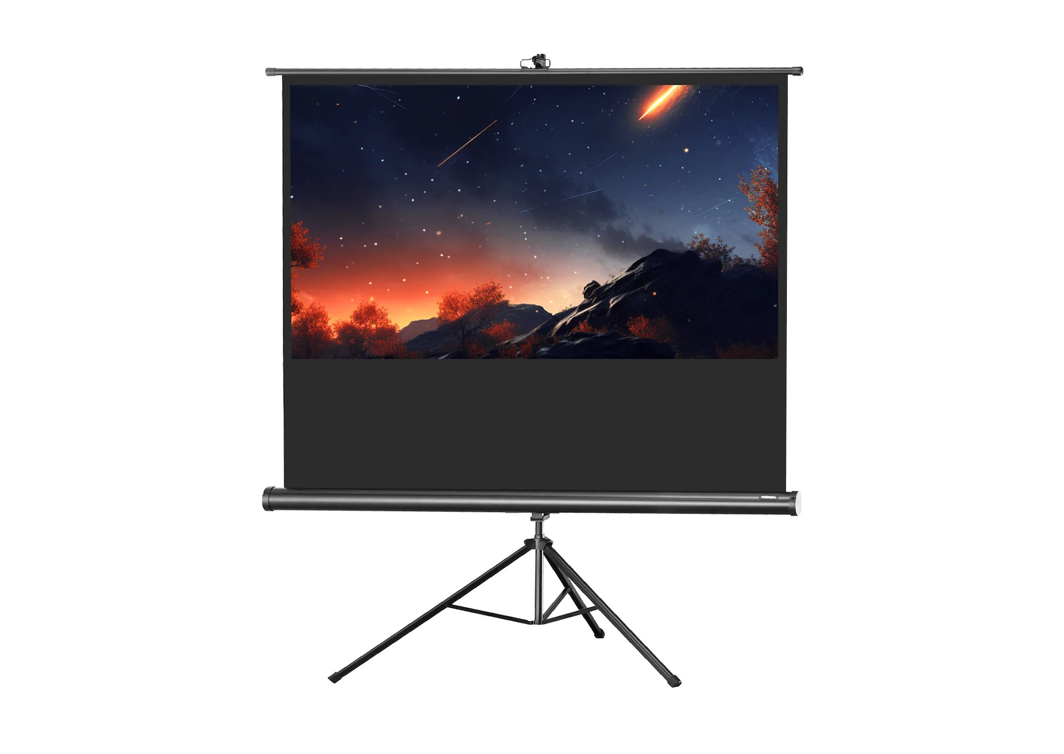celexon Stativleinwand Economy 133 x 75 cm celexon Stativleinwand Economy 133 x 75 cm